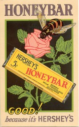 Hershey's Honeybar